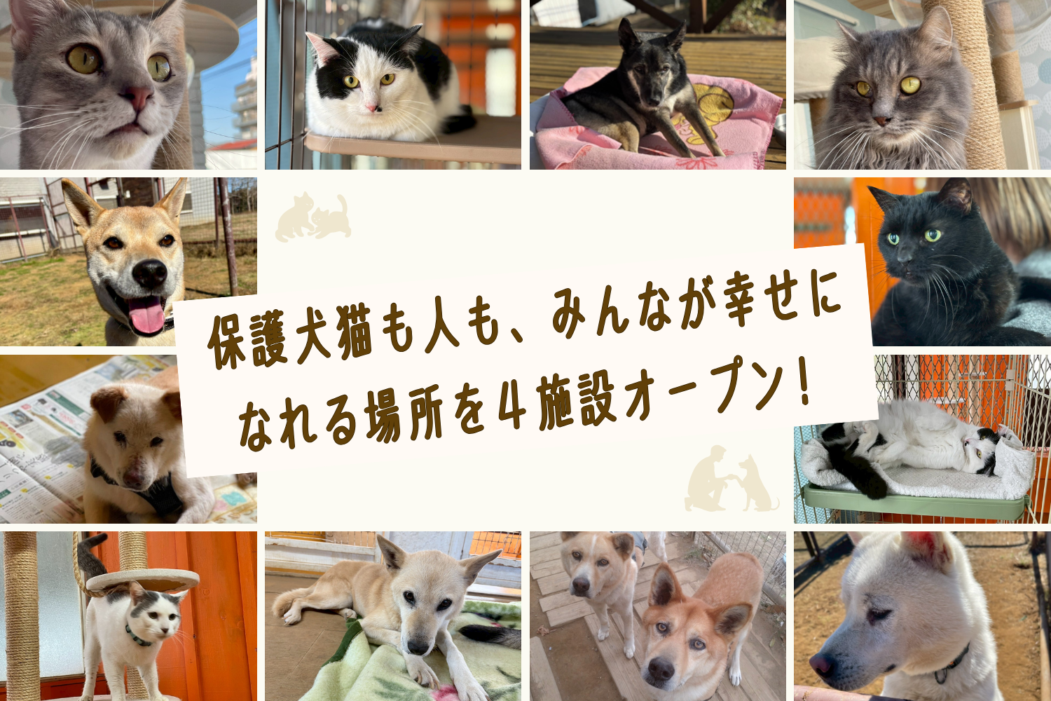 当団体初のクラウドファンディングに挑戦 - NPO法人 Link to