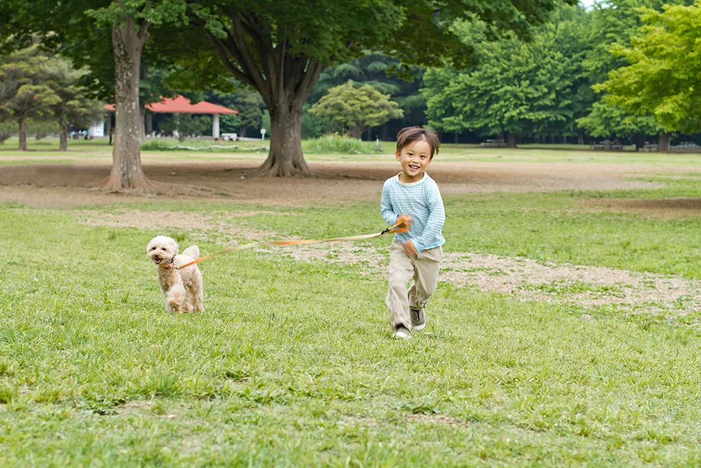 子どもと犬