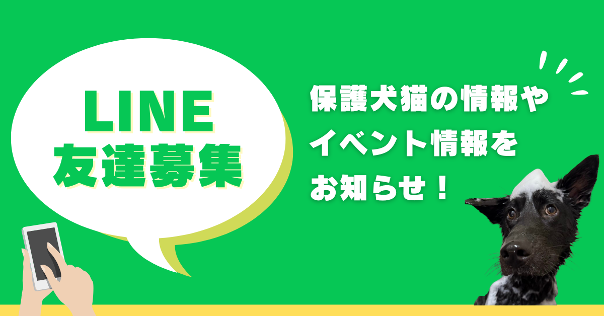 インスタグラム