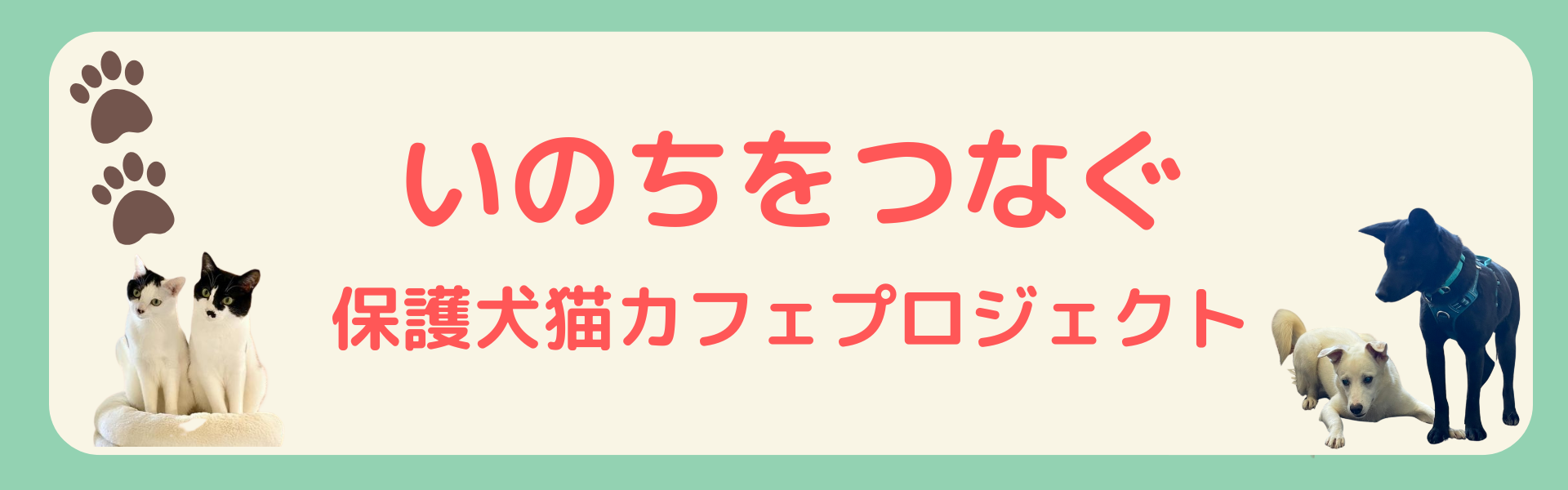 インスタグラム