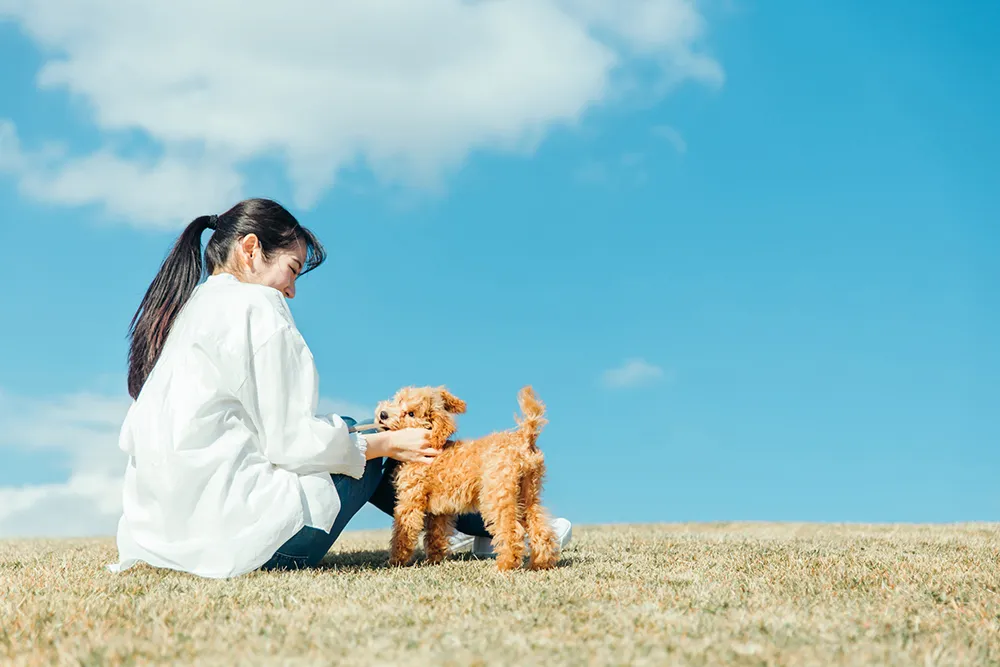 若者と犬