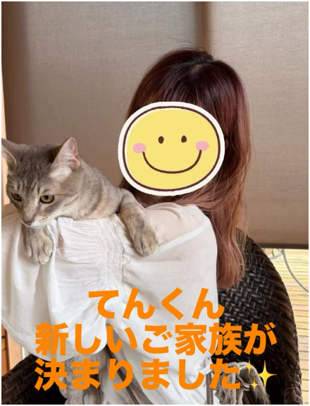 保護犬