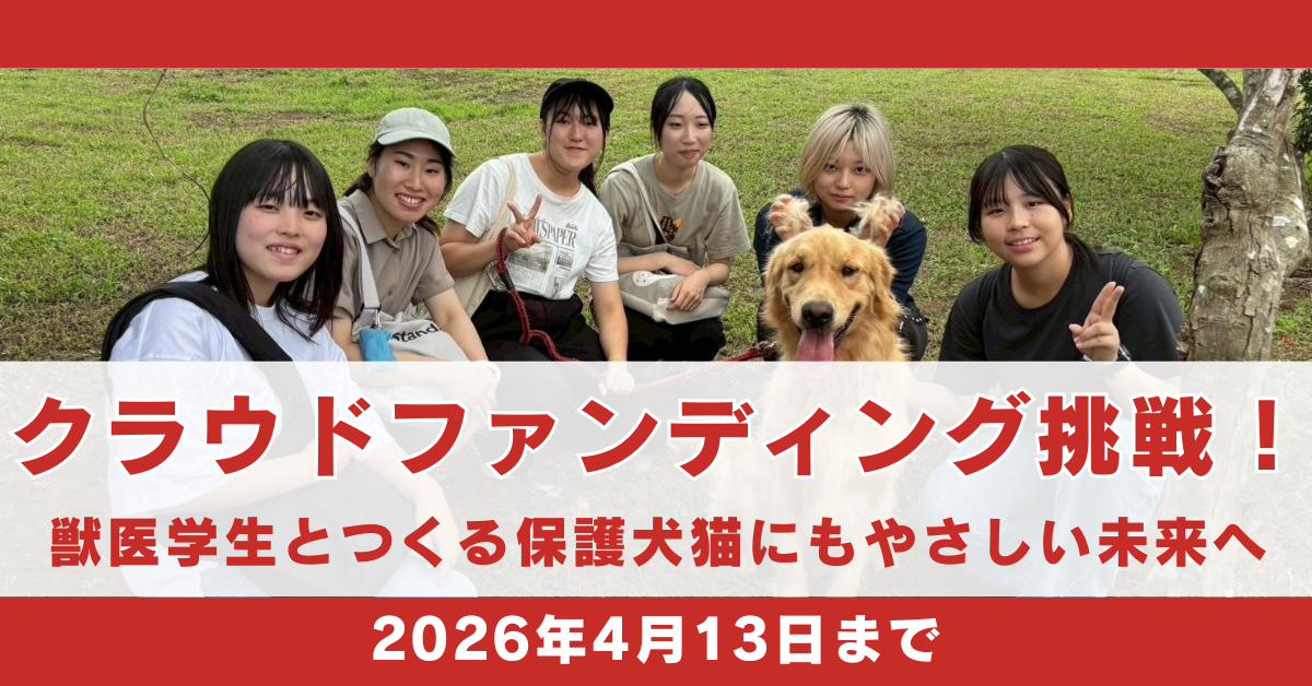 インスタグラム